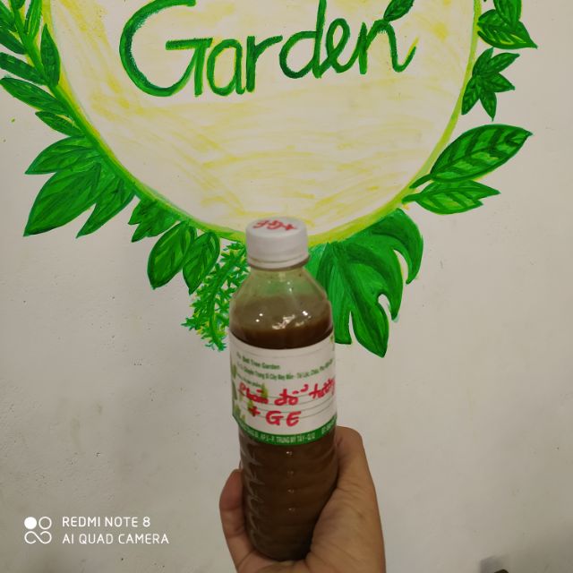 Hỗn hợp Phân đỗ tương + GE chuối + GE nha đam