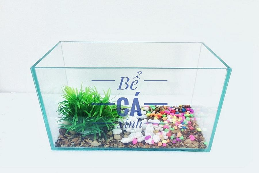 Bể cá mini để bàn size 30x15x18cm