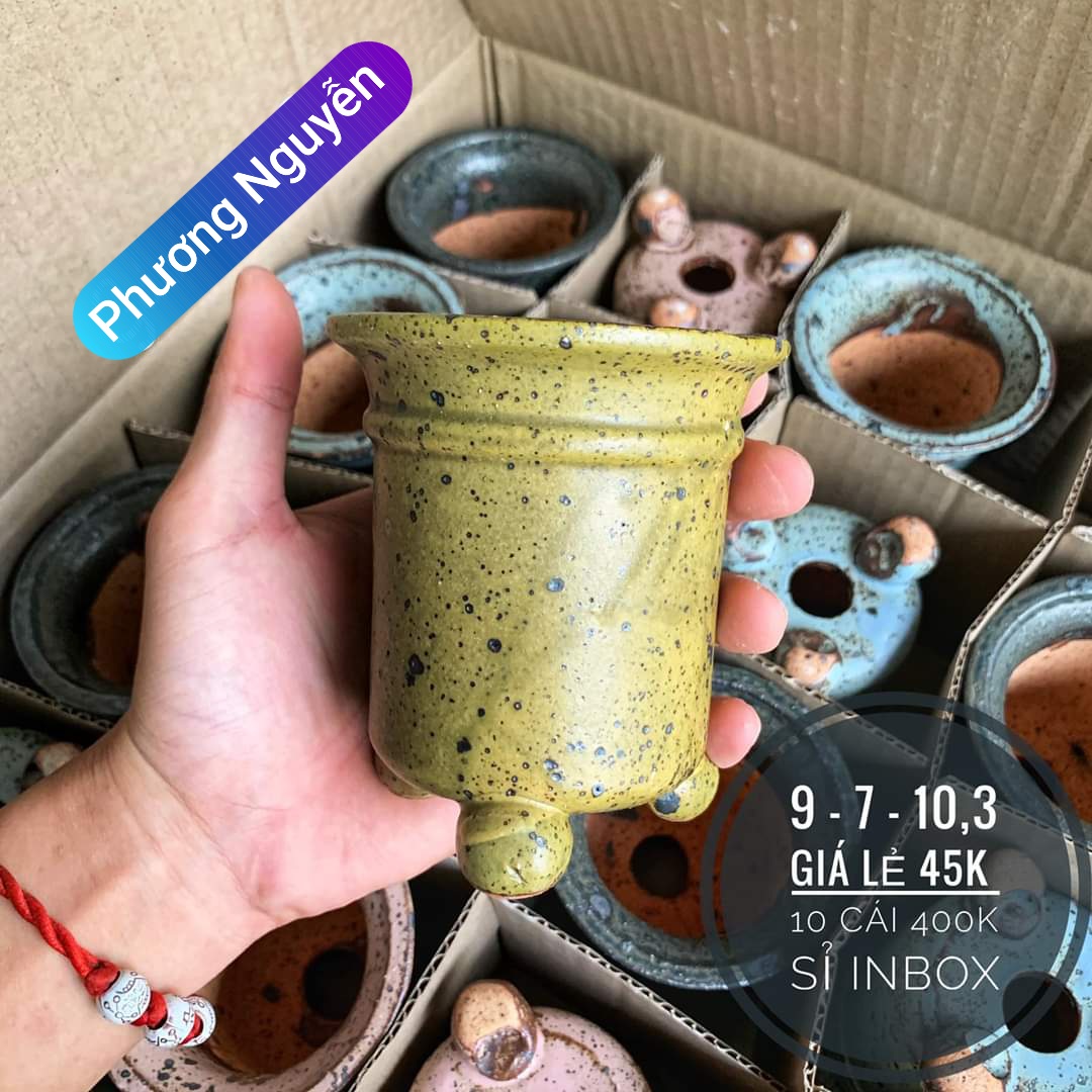 Chậu trồng cây mini- chậu trồng sen đá - chậu trồng cây cảnh để bàn 02