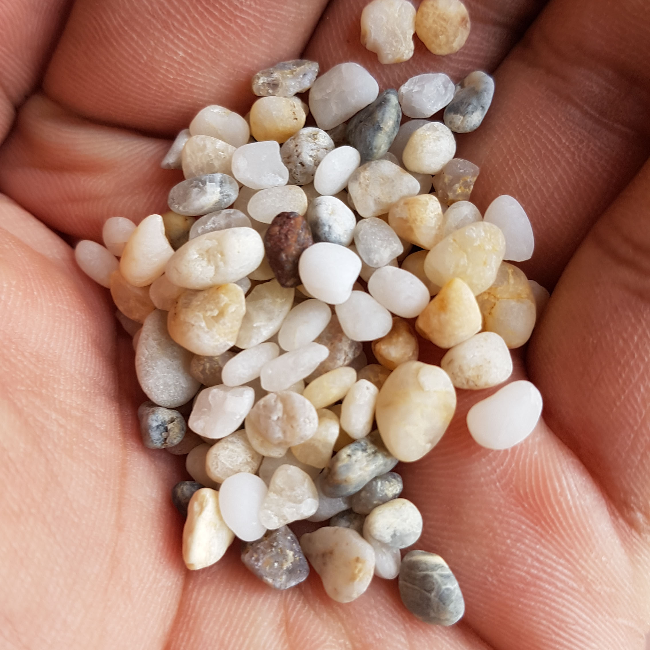 Sỏi 3 màu - lọc nước trải nền trang trí bể cá cảnh
