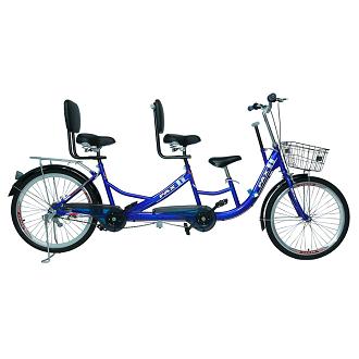 [HCM]Xe đạp đôi PAX-2