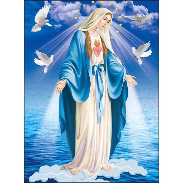 Tranh đính đá đức mẹ ban ơn df2891 kt 55x75cm