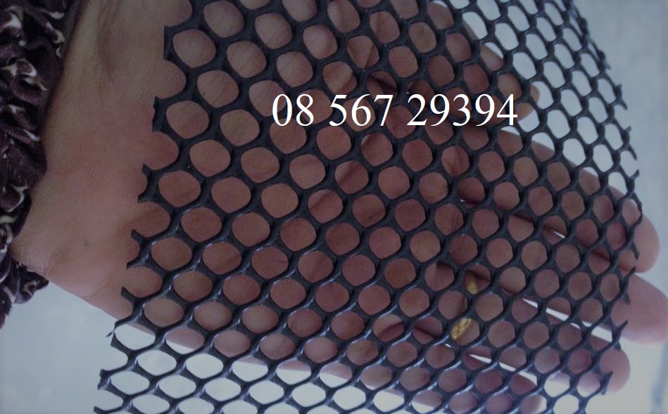lưới nhựa làm sàn gà, vịt cao cấp