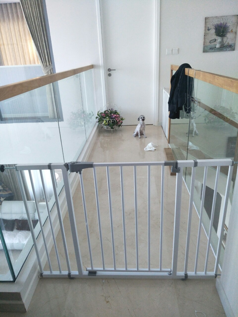 Cửa chặn,  rào chắn chó mèo