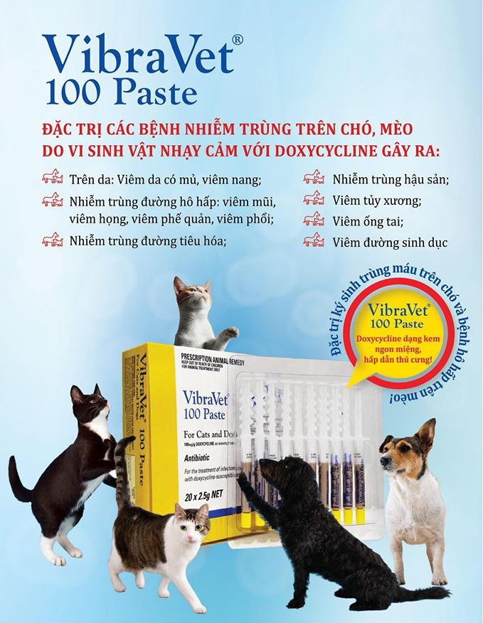 Tuýp VIBRAVET 100 PASTE 2.5g - Hỗ trợ, hô hấp, sinh dục, viêm da, viêm tủy xương, viêm ống tai trên chó mèo
