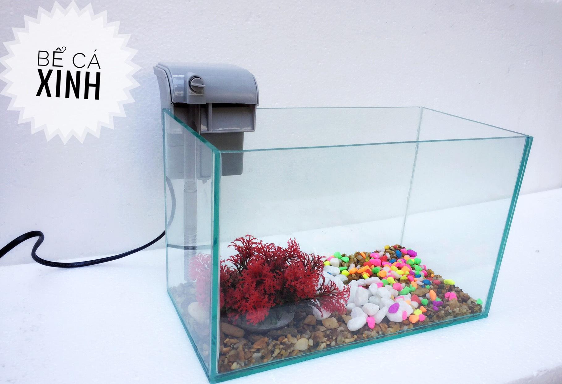 Bể cá mini để bàn kèm lọc thác mini