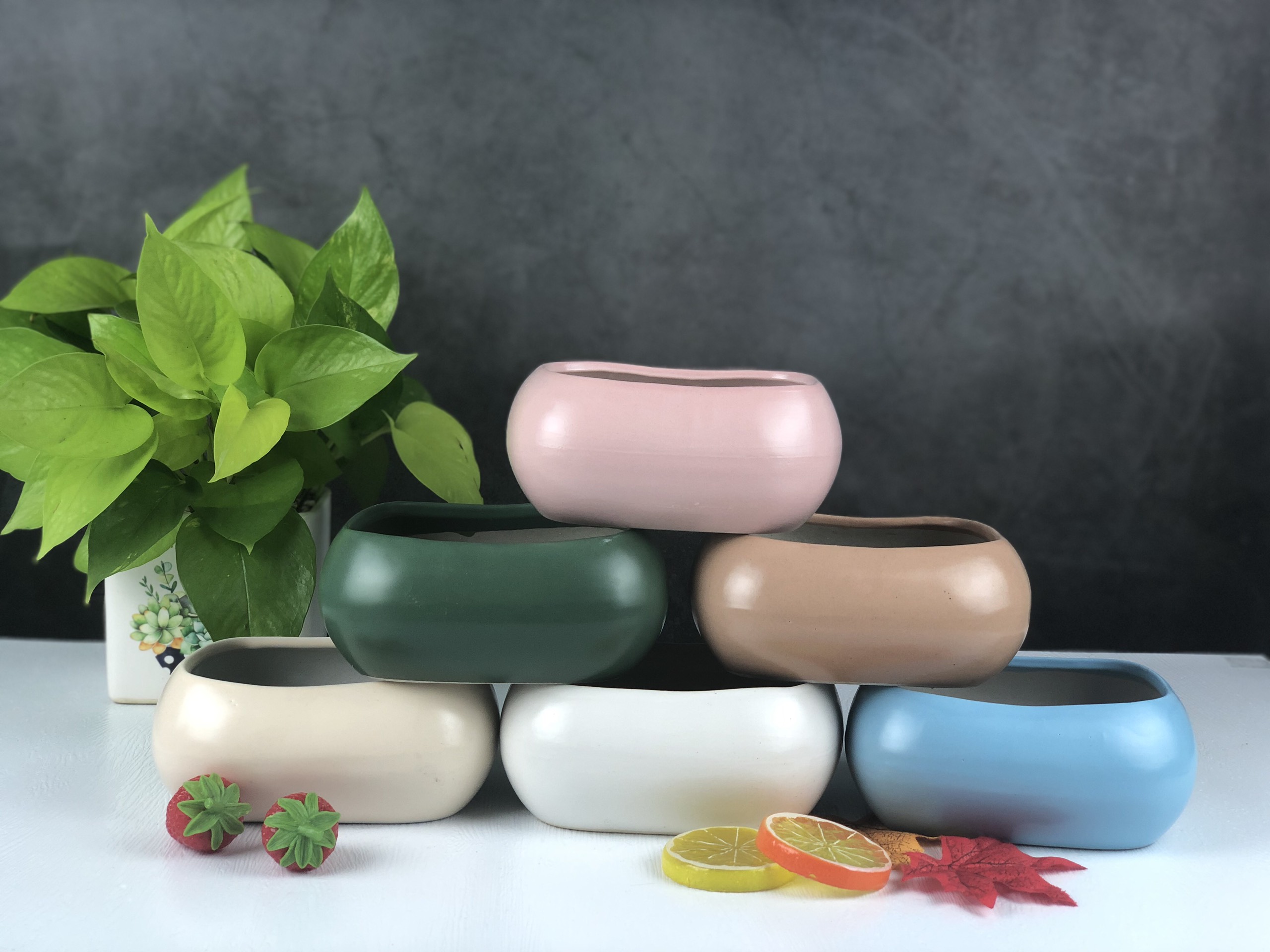 Chậu Angsa Thấp - Chậu trồng cây để bàn - Chậu mini