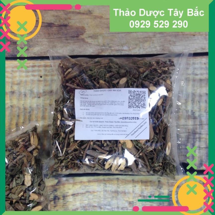 [Hình Thật - 1Kg]   An Xoa (Cây An Xoa Tím )
