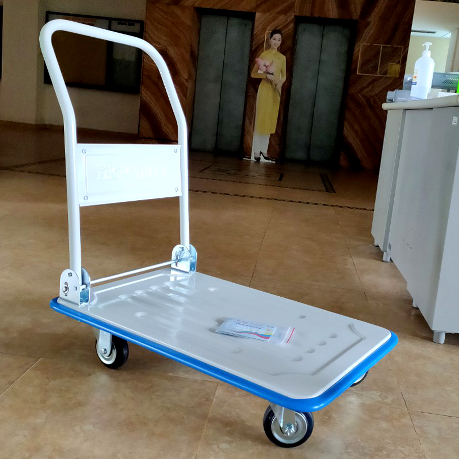 Xe đẩy hàng phong thạnh xtb 100dg