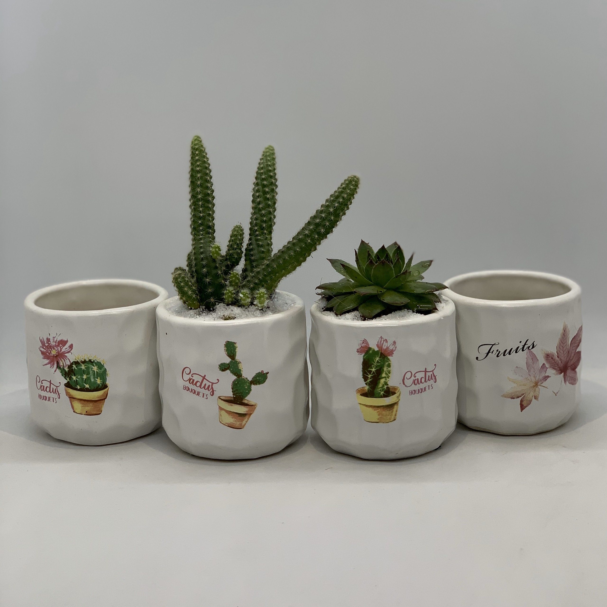 Bộ 4 chậu trồng cây mini để bàn - 7x7x7 cm - dáng trụ - mầu trắng - chậu sứ trồng cây sen đá, chậu gốm sứ bát tràng, chậu trồng cây cẩm nhung , xương rồng, tiểu cảnh terrarium