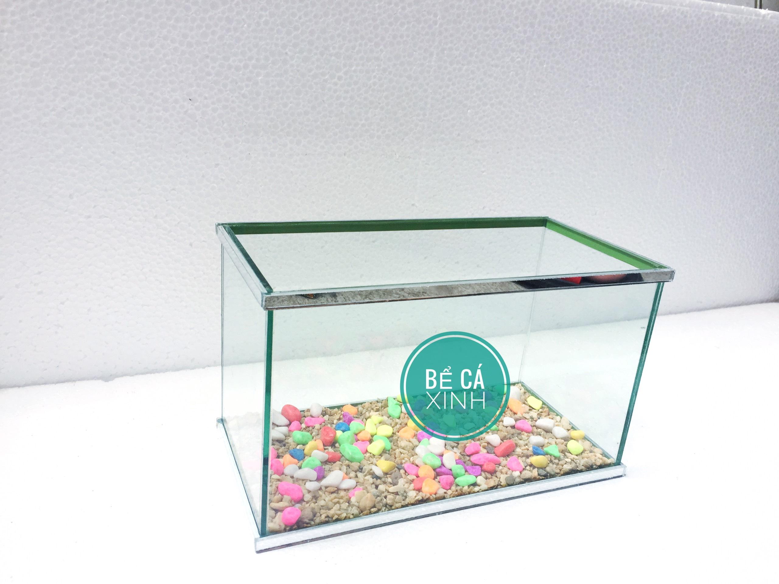 Bể cá mini có dán viền gương đẹp , sang và chắc chắn - 25x13x15cm ( tặng thức ăn và sỏi nền )