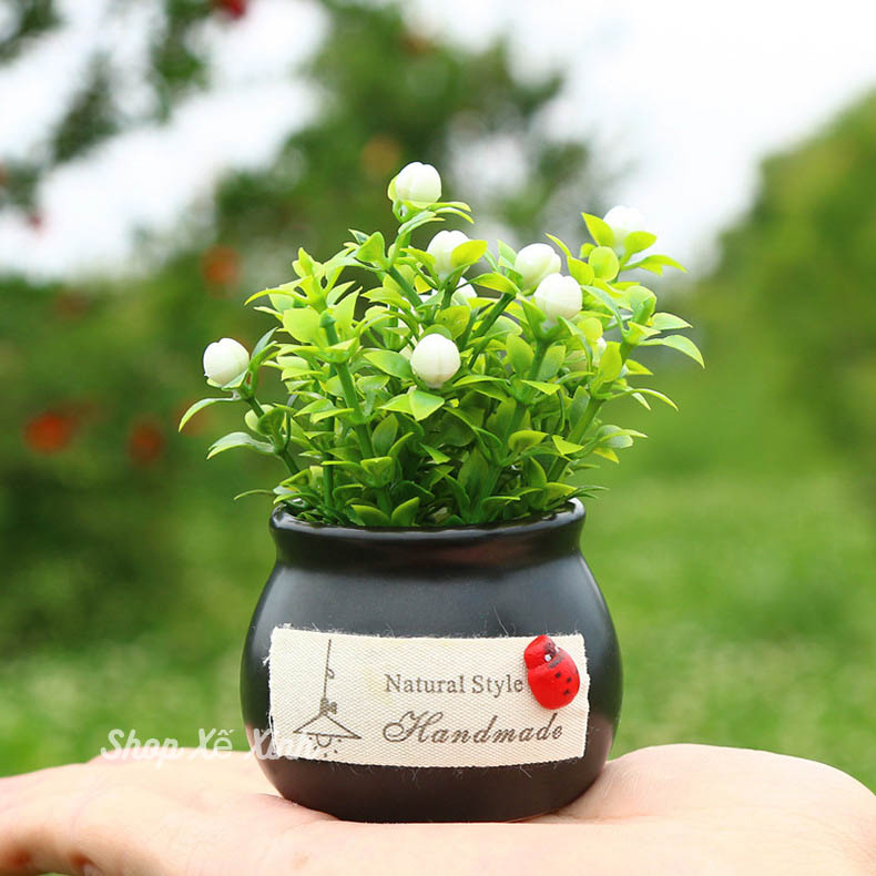 Chậu cây cảnh mini bằng gốm sứ để bàn, trang trí trên taplo xe ô tô Phụ kiện trang trí nội thất xe ô hơi. (Shop Xế Xinh)