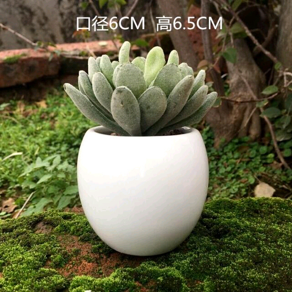 Bình lọ hoa sứ trang trí