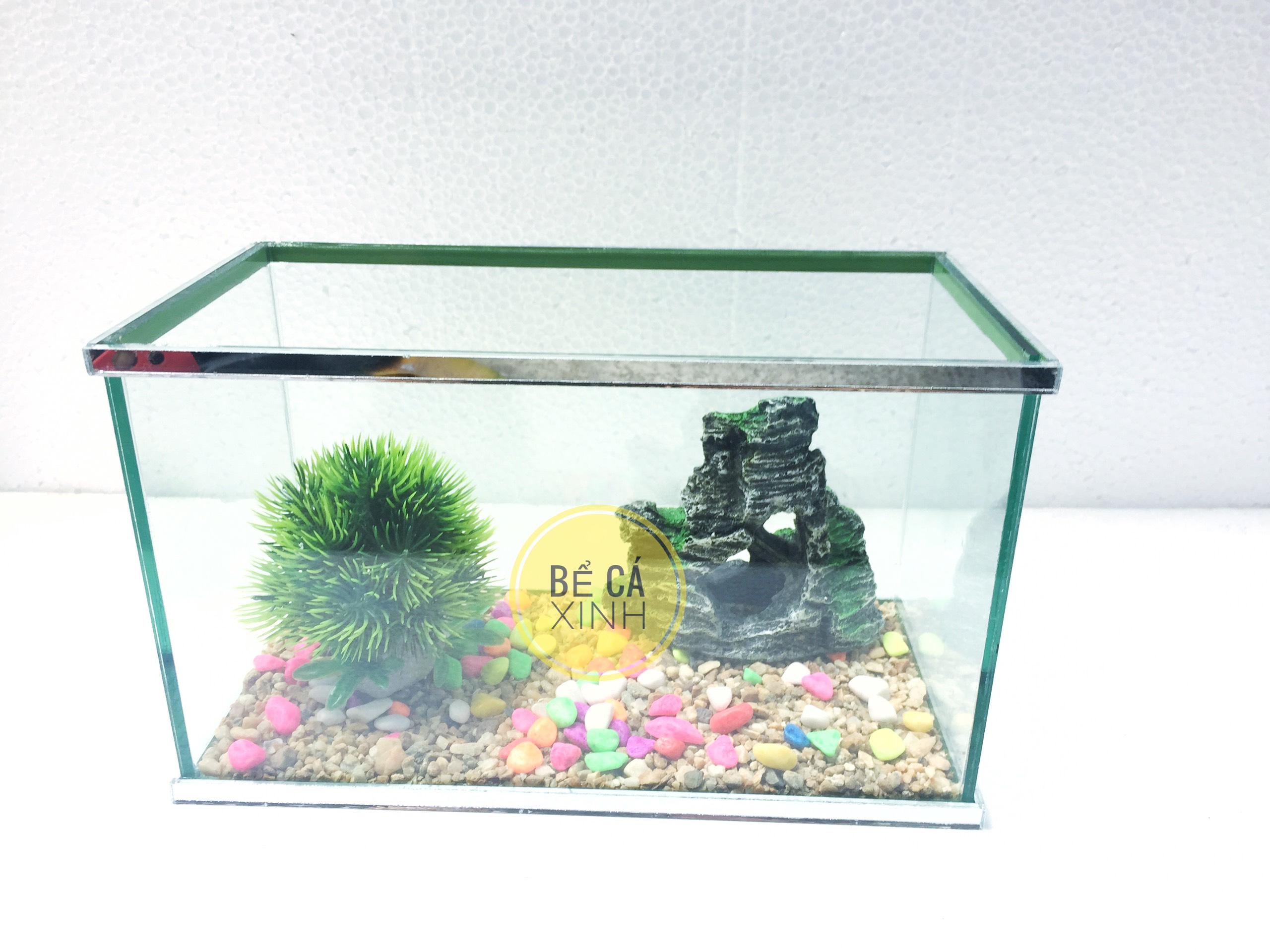 Bể cá mini 25x13x15cm có dán viền gương sang trọng ( tặng sỏi nền và thức ăn ) - bể cá để bàn , trang trí nhà cửa