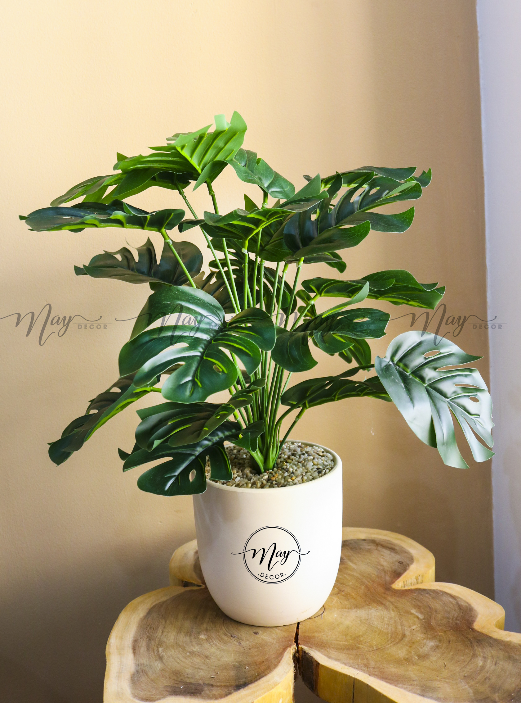  Cây giả - Chậu cây lá rùa cây trầu bà cây bàng lá đỏ chậu cây trang trí 55cm 