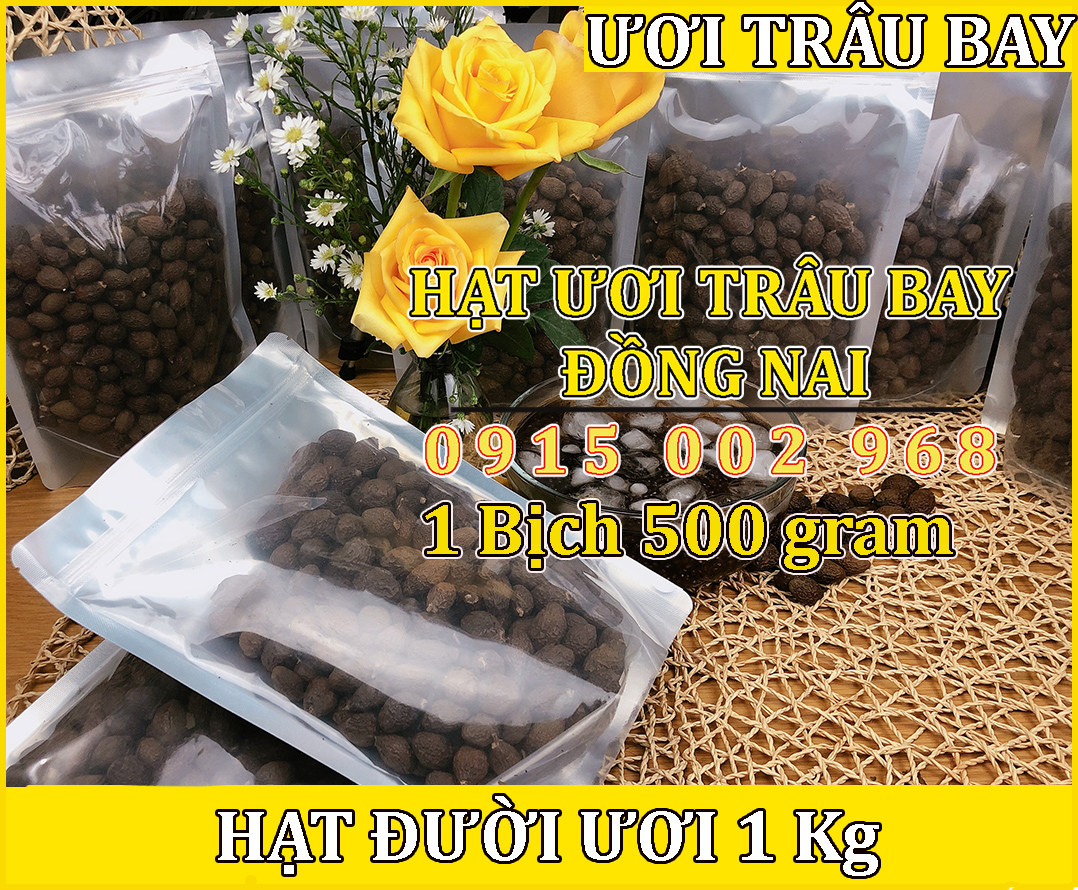 Hạt đười ươi bay 1.5 kg - hạt ươi trâu bay
