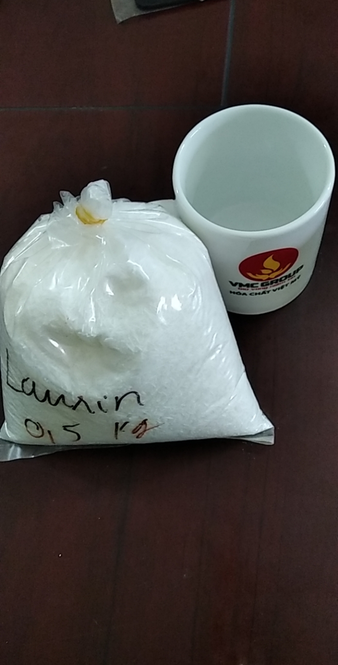 Chất tạo bọt Sodium Lauryl Sulfate (SLS) gói 0,5kg