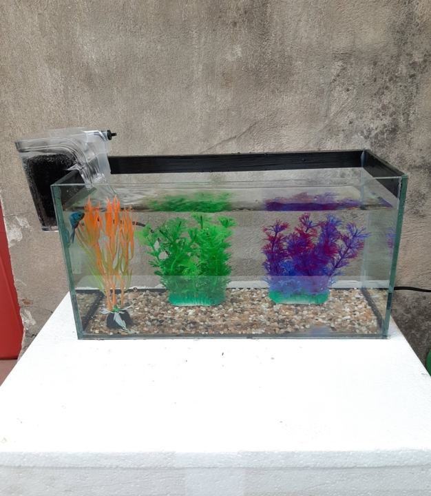 Bể cá viền đen 30 kèm lọc thác mini - bể cá mini giá rẻ