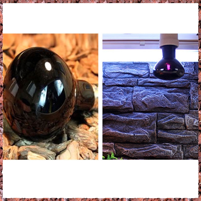 Bóng đèn sưởi ban đêm cho thú cưng, bò sát , rùa cảnh ,iguana- công suất 25W