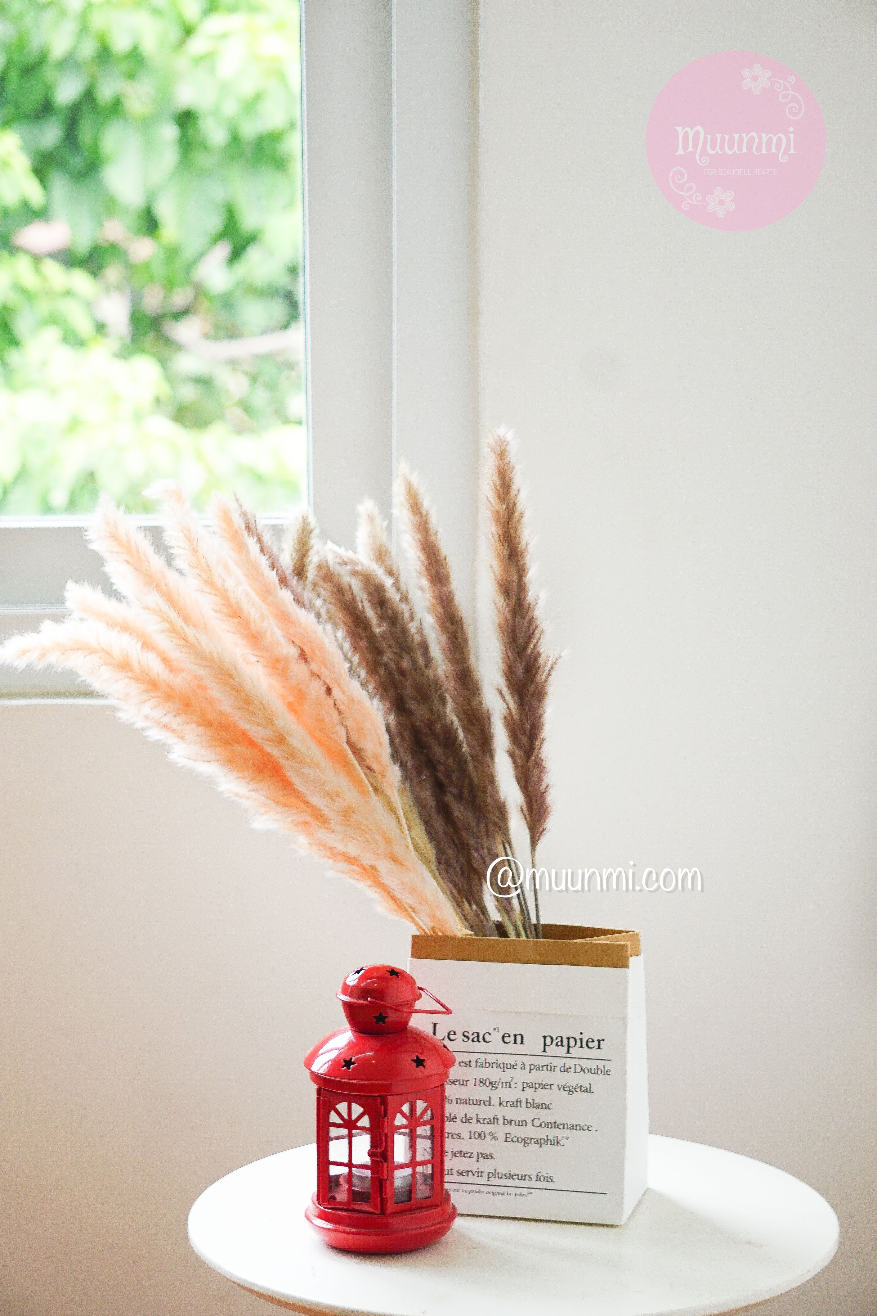 Hoa khô 🍂 | Cỏ lau khô trang trí cực xinh