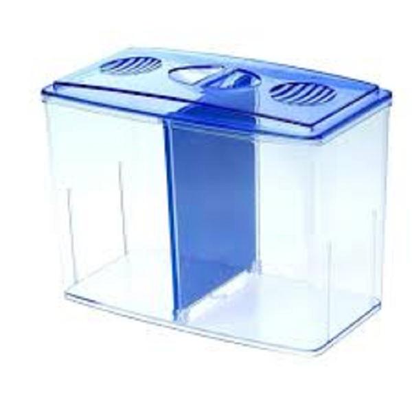 Bể nuôi cá chọi Betta box