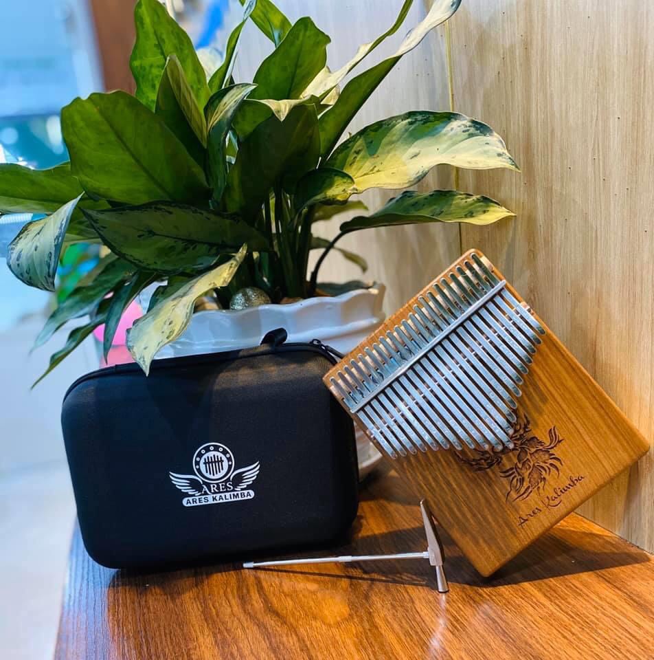 Đàn kalimba 21 phím ares phoenix gỗ walnut