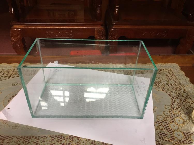 Bể cá cảnh mini size 25*13*15cm (tặng sỏi và thức ăn)