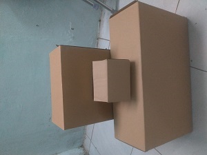 Thùng carton 3 lớp 20x8x8 - 10 thùng carton
