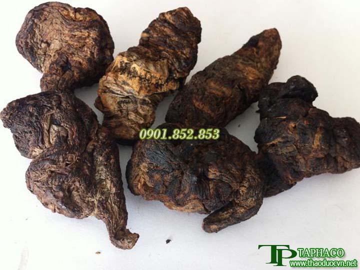 Sinh địa hoàng khô 500g
