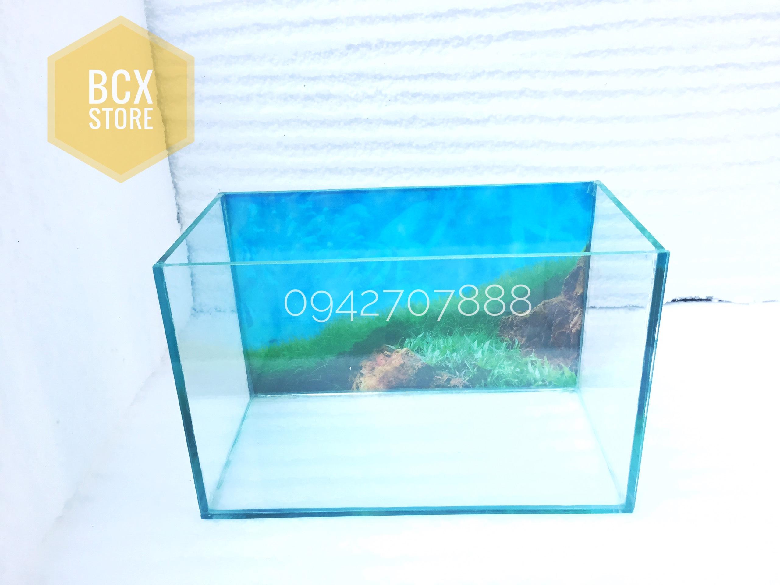 Hồ cá mini cỡ 3018cm có tranh nền - bể mini để bàn cho những người yêu cá