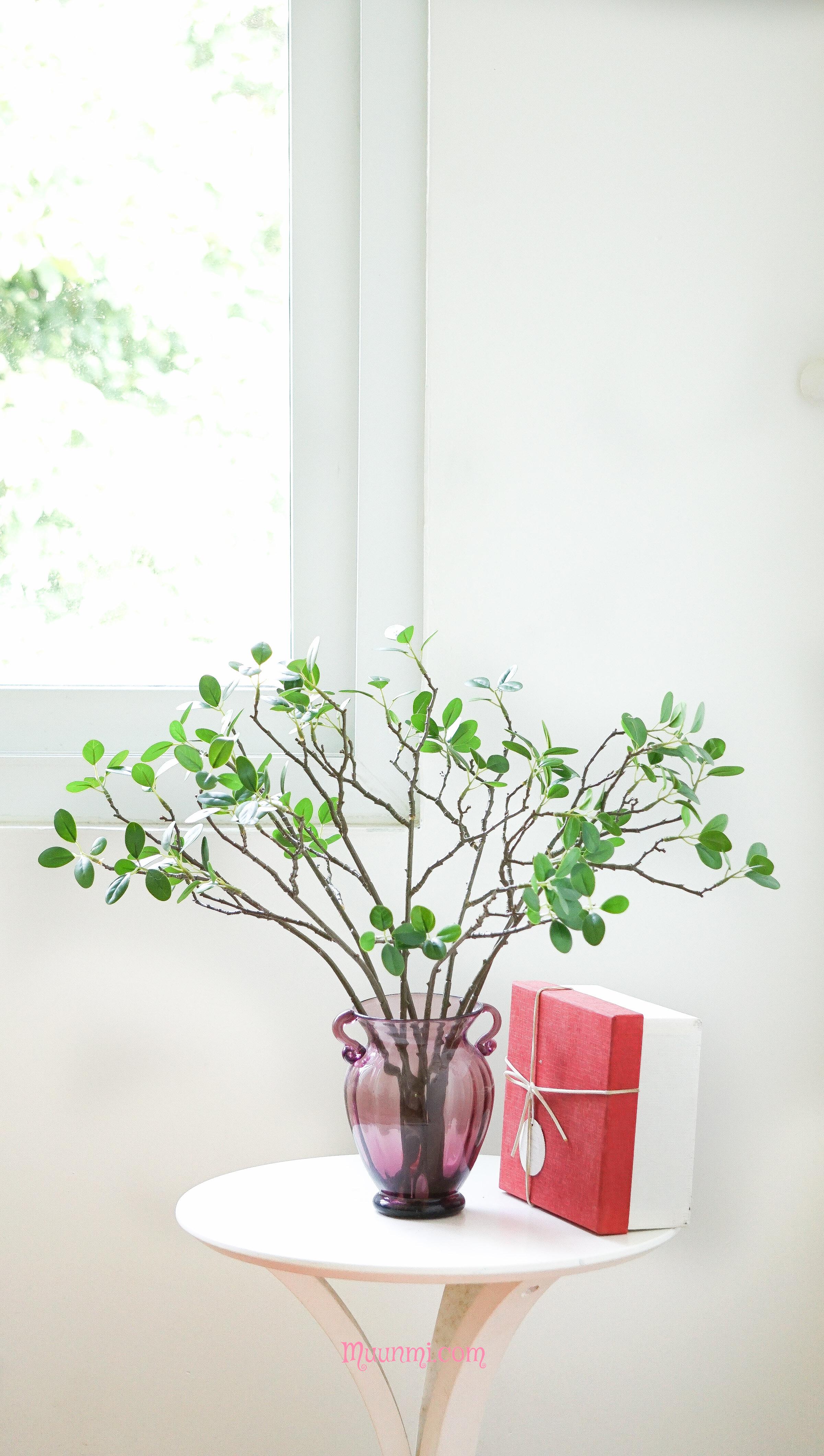 Lá điểm | Nhánh lá xanh đẹp tự nhiên