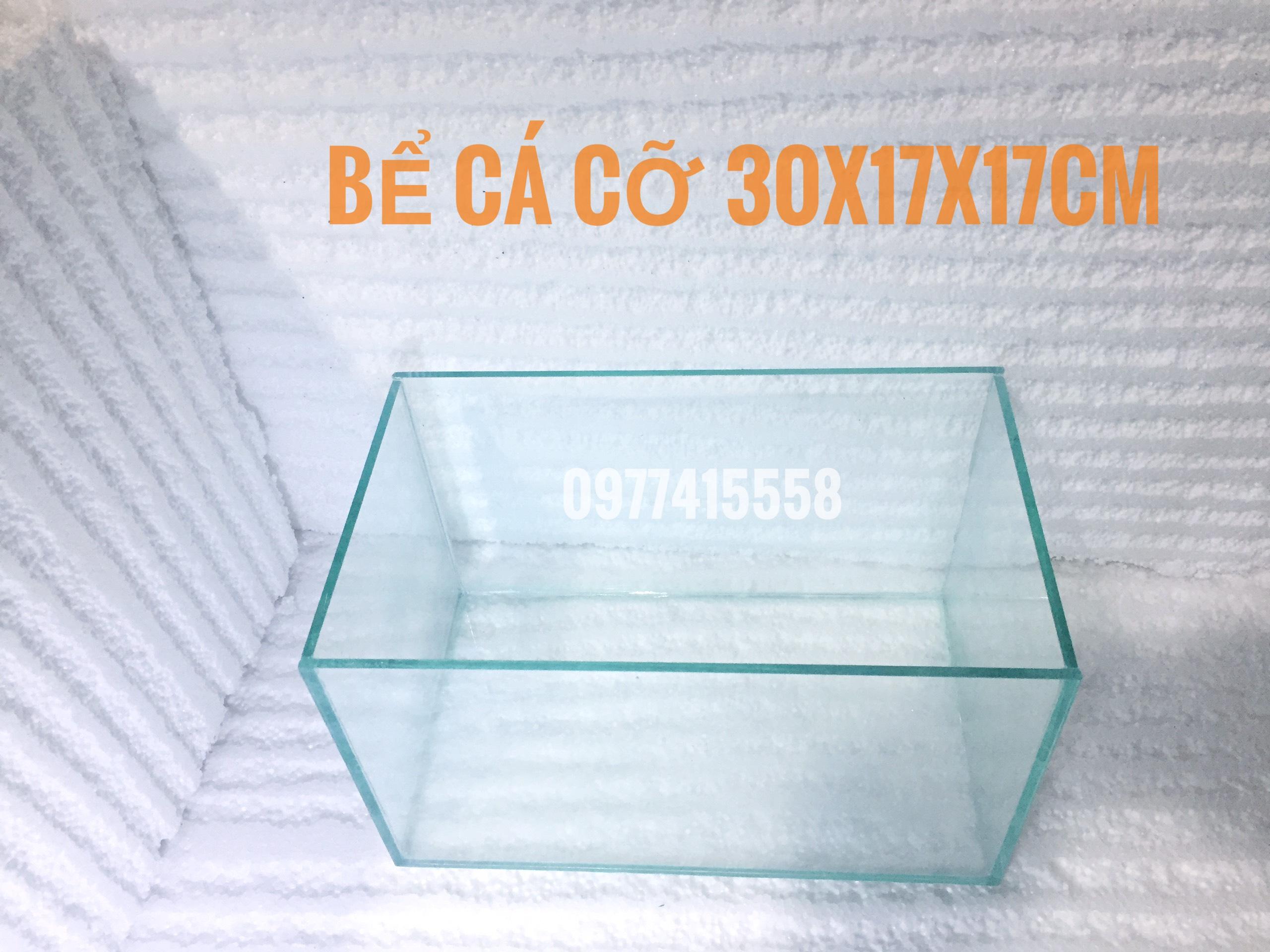 Bể cá mini để bàn 3017cm kèm sục oxi - hồ cá cảnh để bàn giá rẻ