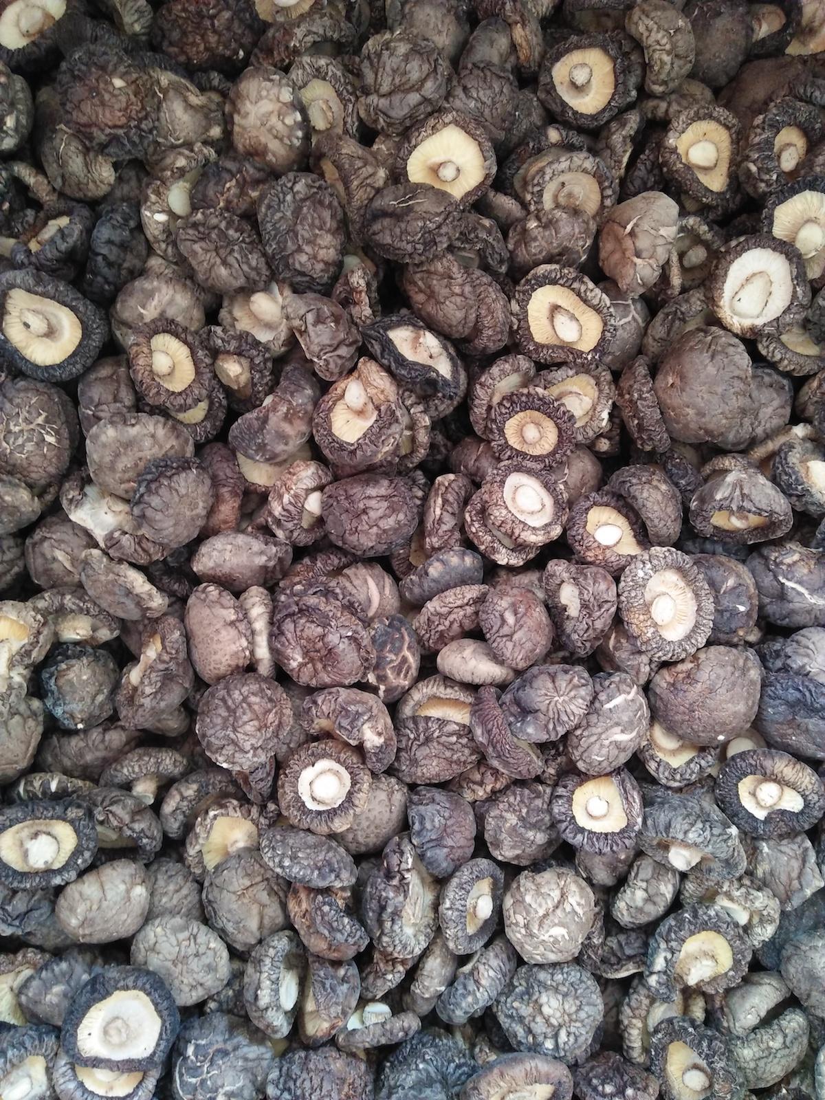 100 gram nấm đông cô khô - lai bông - loại 1