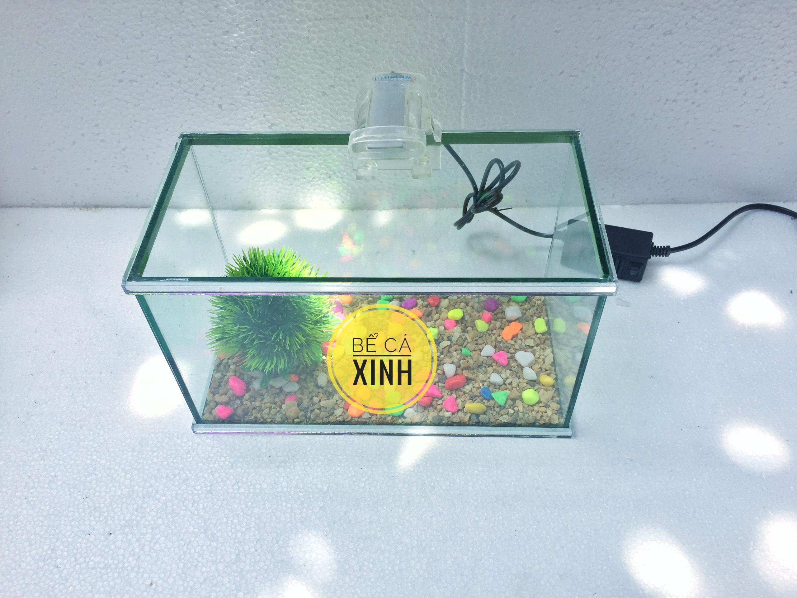 Bộ bể cá mini để bàn 25x13x15cm kèm đèn led mini - bể cá trang trí nhà cửa, bàn làm việc