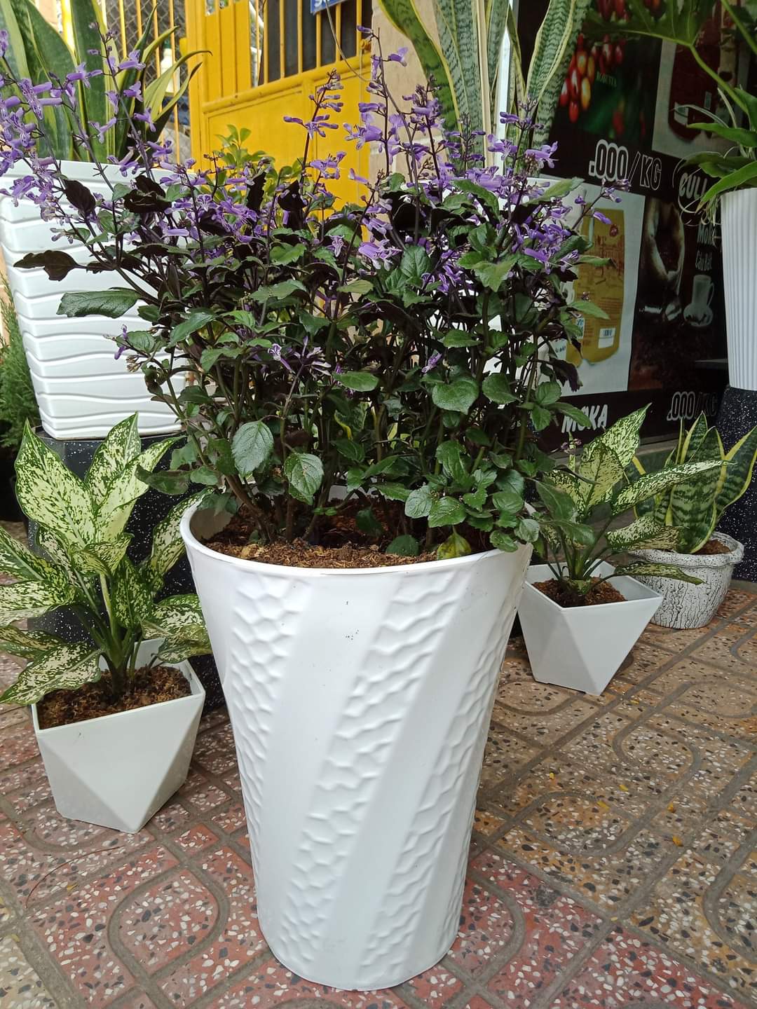 Bộ 4 Chậu Nhựa Trồng Hoa Xoắn Giả Đá Cao Cấp (30x40x20cm) - Thiết kế Tròn Xoắn tinh xảo và sang trọng Phù hợp các loại cây rau hoa kiểng trang trí văn phòng phòng khách vườn nhà