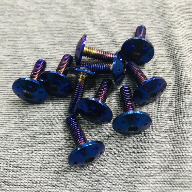 Bộ 10 ốc Proti gắn dàn áo các loại XE MÁY, MOTO - 6LY2 ( MÀU XANH TITAN)