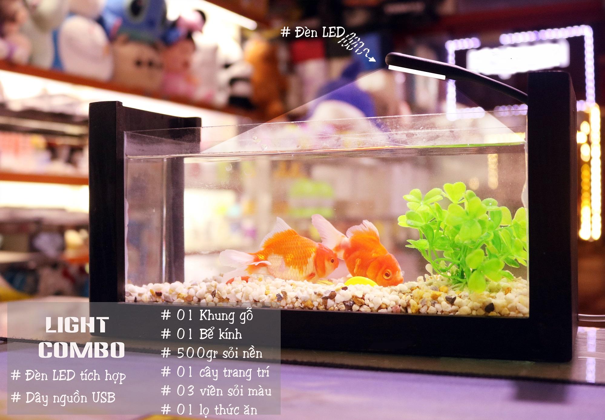 Combo Bể Cá Mini có Khung Gỗ tặng kèm thức ăn, sỏi nền, cây trang trí....