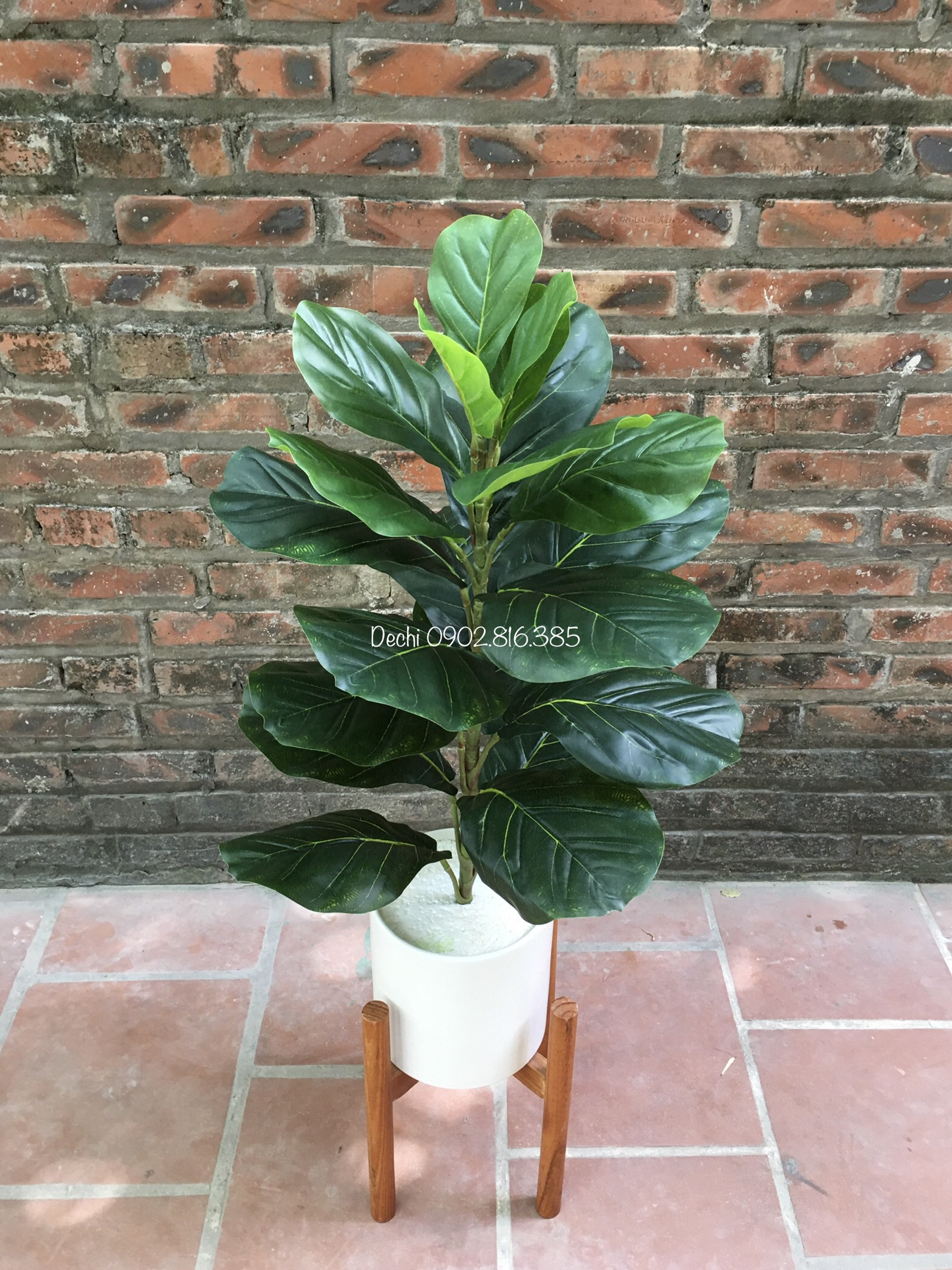 Cây Bàng Singapo Giả 1 Nhánh Trang Trí Cao Cấp, Cây Giả