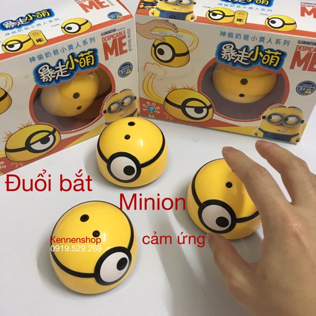 Đuổi bắt Minion sử dụng cảm biến hồng ngoại