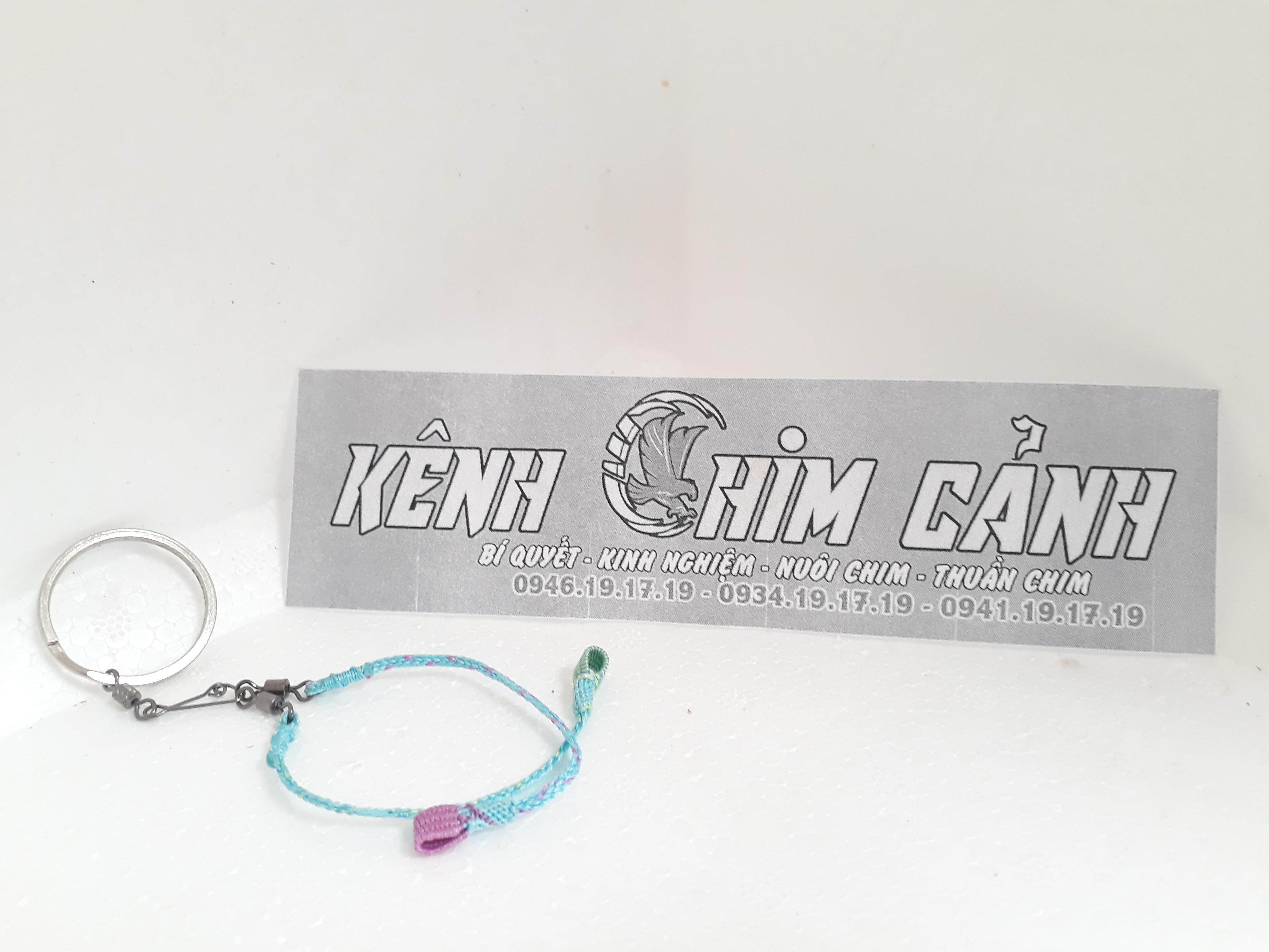 Dây xích thuần chim than cây, chòe vôi. s2