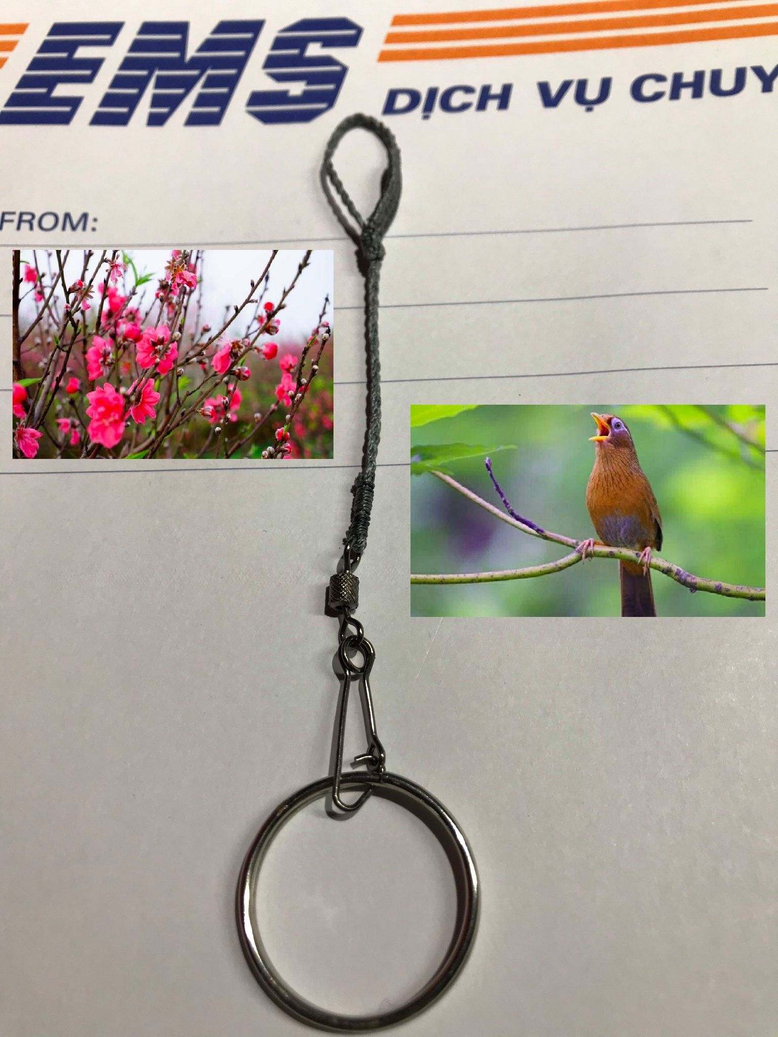 Dây xích chân chim Họa Mi (Dây đơn)