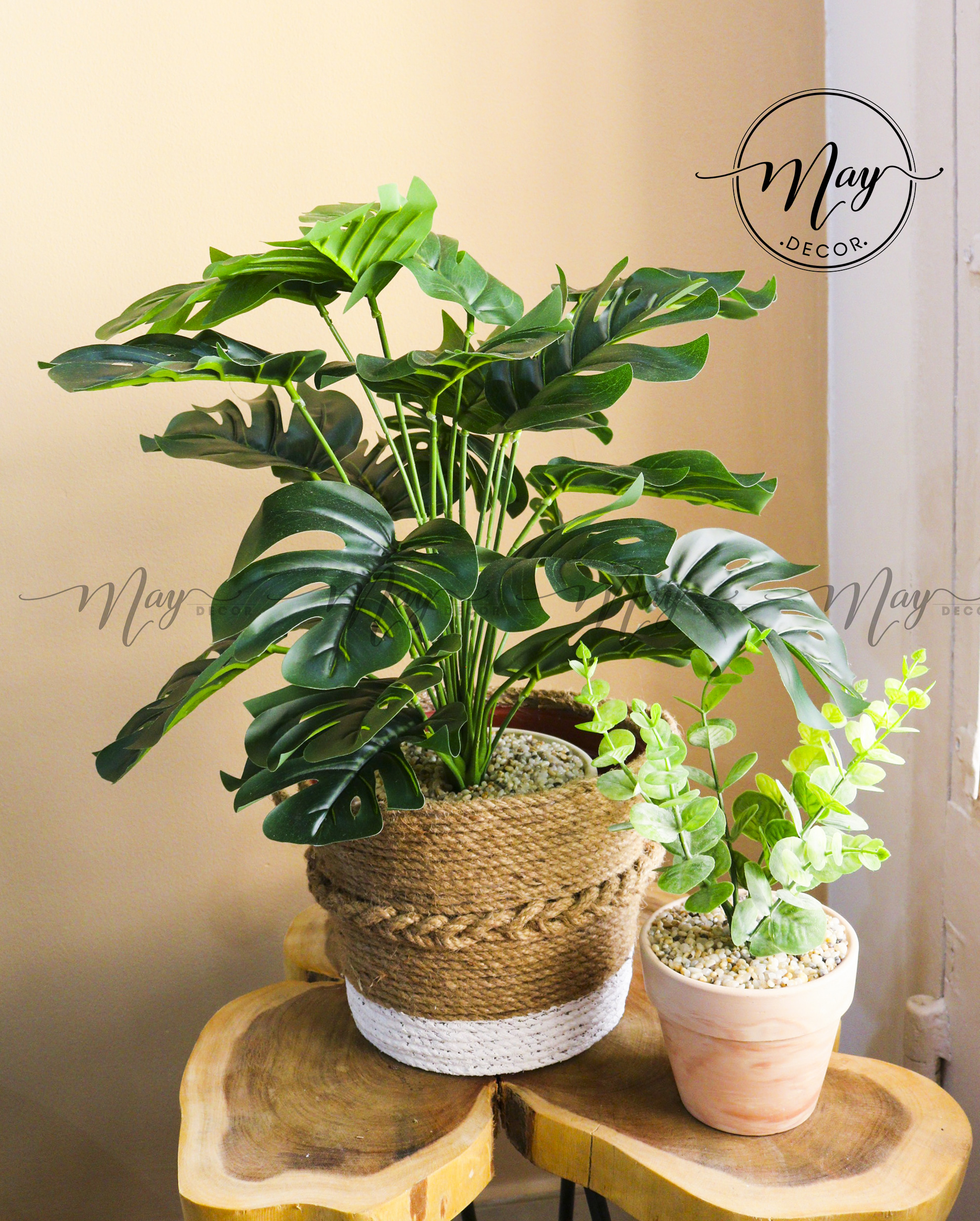 Cây giả - Chậu cây lá rùa, cây trầu bà, cây bàng lá đỏ chậu cây trang trí 55cm