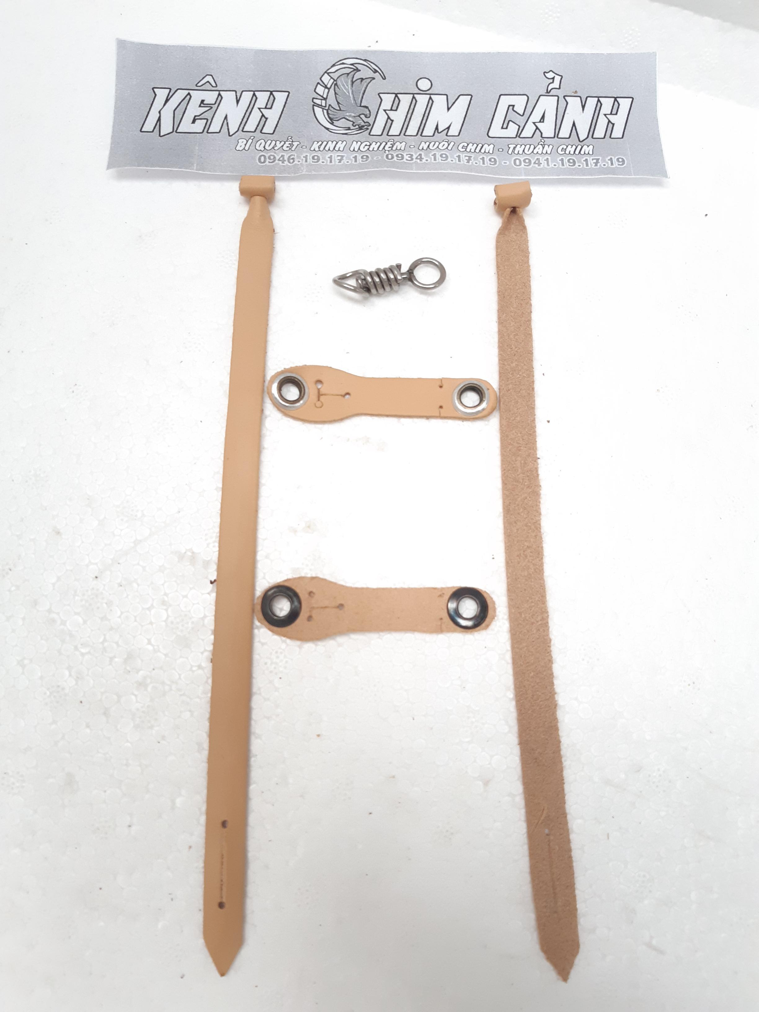 dây chân ưng ấn-kênh chim cảnh