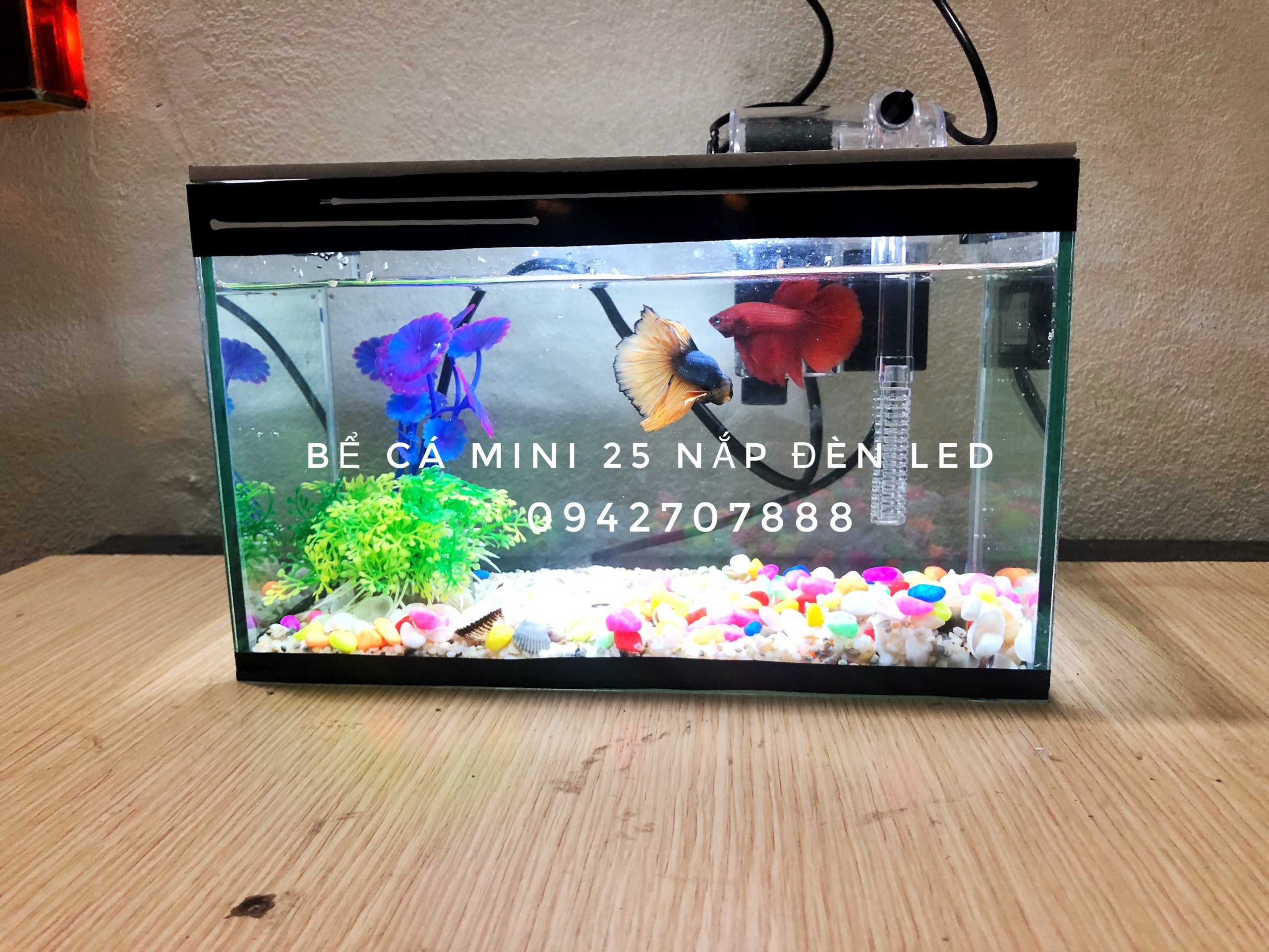 Set bể cá mini 25cm - 30cm và 7món ( Bể,nắp đèn led,lọc thác mini, sỏi màu cao cấp, vỏ sò biển Cửa Lò, cây trang trí, thức ăn)