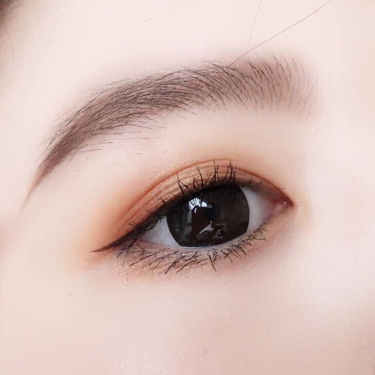 Lens - kính áp tròng đen giãn ít - sử dụng 1 năm tặng kèm khay đựng