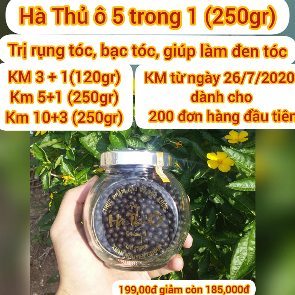 Hà Thủ Ô 5 Trong 1 xuân nguyên lọ thủy tinh  250gr giúp làm đen râu tóc