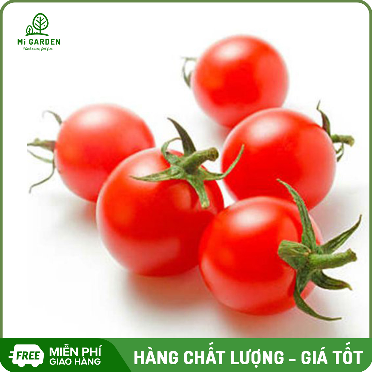 Hạt giống Cà chua bi đỏ Mi Garden, hạt giống dễ trồng, dễ chăm sóc