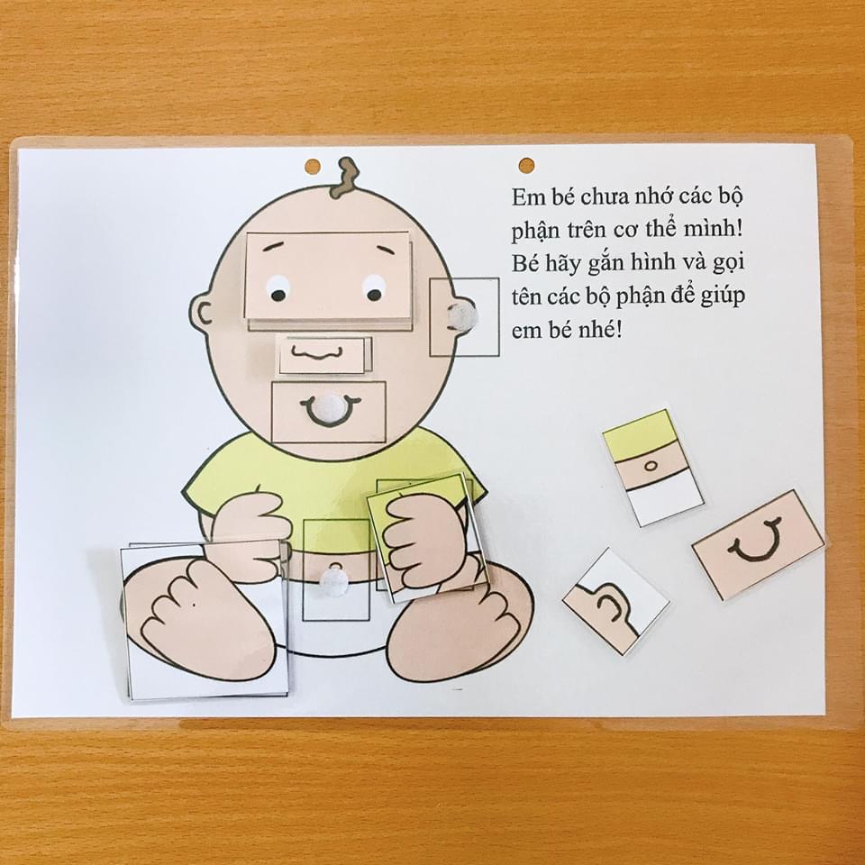 HỌC LIỆU CHO BÉ : Bộ phận trên cơ thể người .từ 18 – 24 tháng tuổi