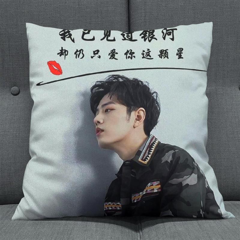 Gối Tiêu Chiến Ngụy Vô Tiện Trần Tình Lệnh Ma Đạo Tổ Sư 30x30 gồm cả vỏ và ruột Lam Vong Cơ Vương Nhất Bác mẫu 2