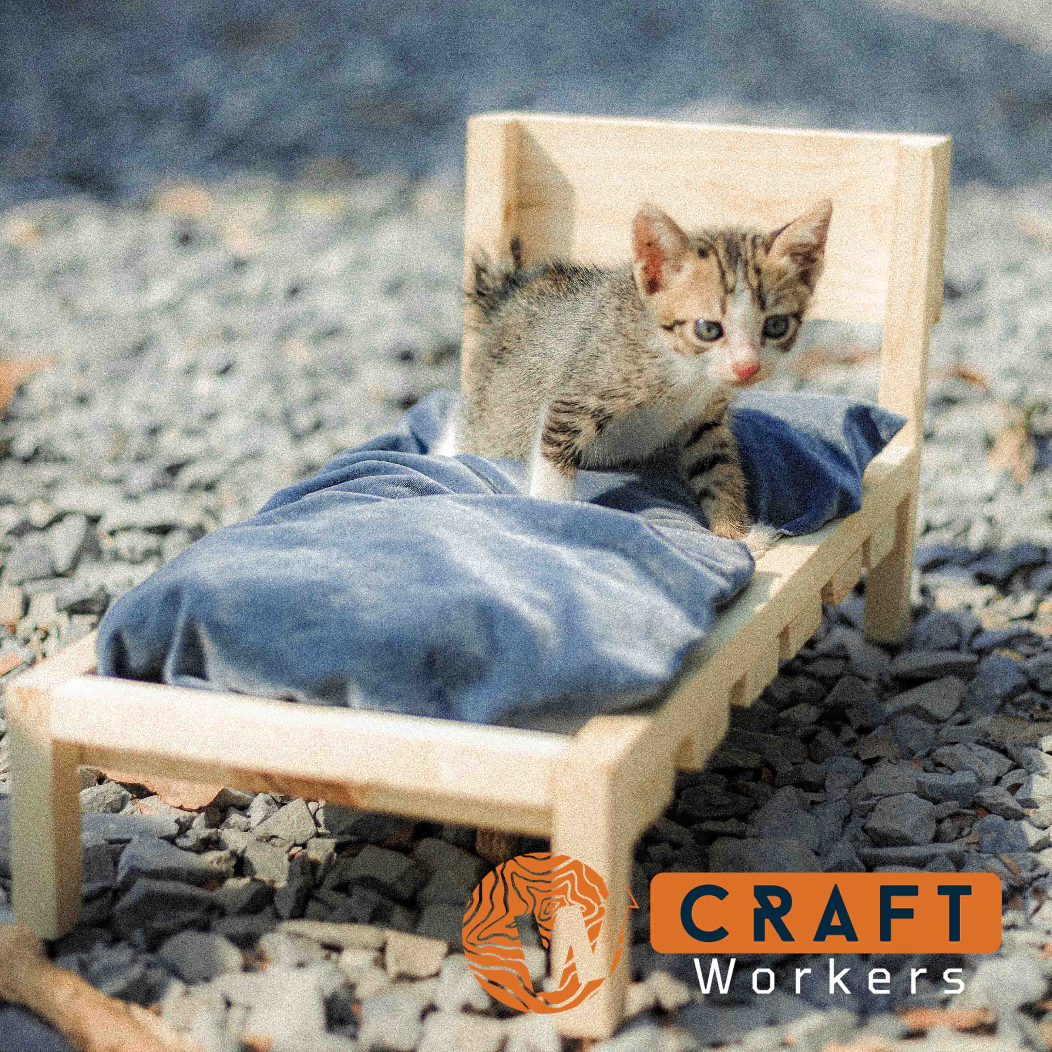 Giường gỗ chó mèo có kèm nệm